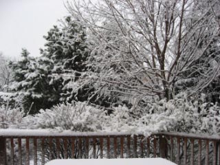 No barbecue today!